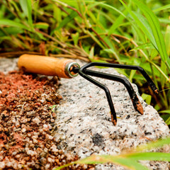 Garden Tool Sets - Wooden Handle Black Metal Gardening Trowels, Cultivator and Trans-Planter